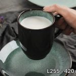 ماگ‌روستیک‌یشمی‌ کد878