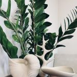 جاشمعی بشقاب کج h&m  کد1225