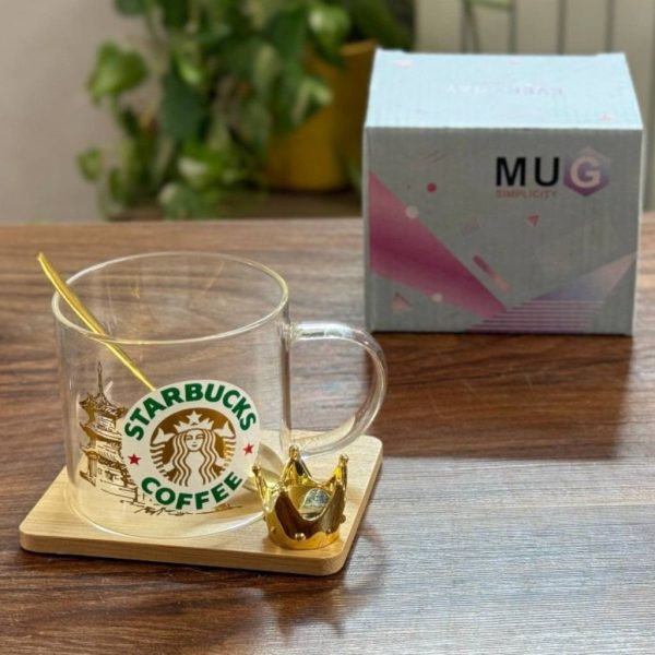 ست فنجان زير بامبو استارباکس Y6