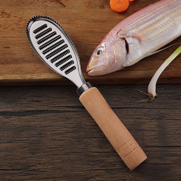 پولک گير فلس گير ماهی شنگيا 24