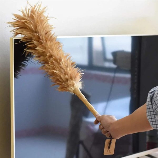 گردگير پر طبيعی شترمرغ H67